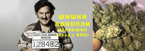 стаф Абдулино