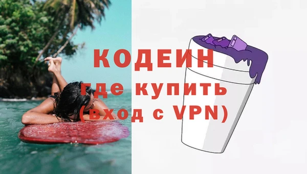 шишки Абаза