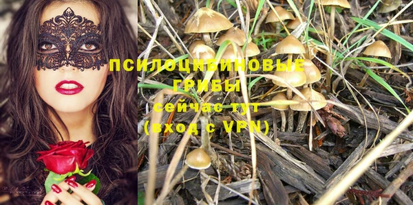 ГАЛЛЮЦИНОГЕННЫЕ ГРИБЫ Алексеевка