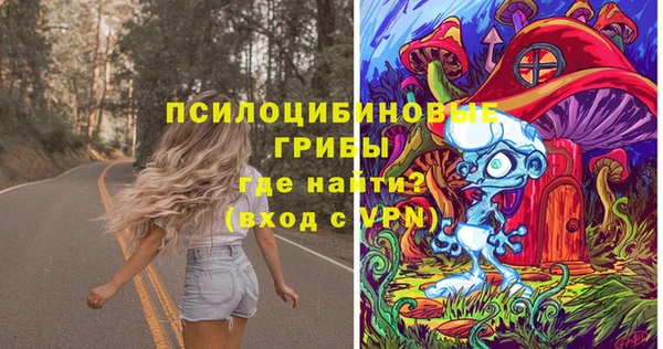 соль курить ск Алзамай