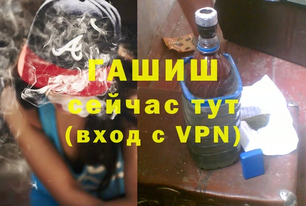 шишки Абаза