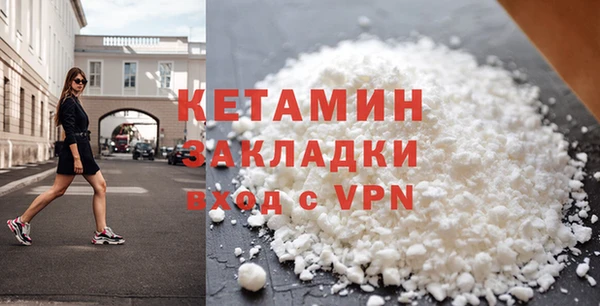 шишки Абаза