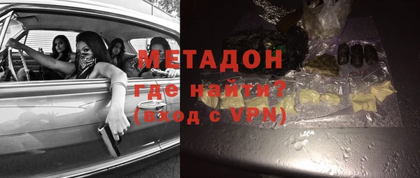 шишки Абаза