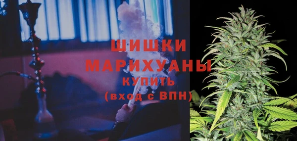 шишки Абаза