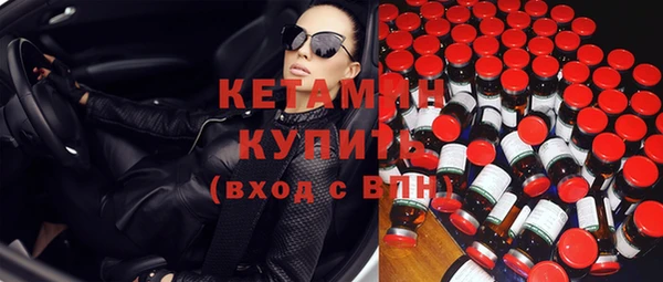 шишки Абаза